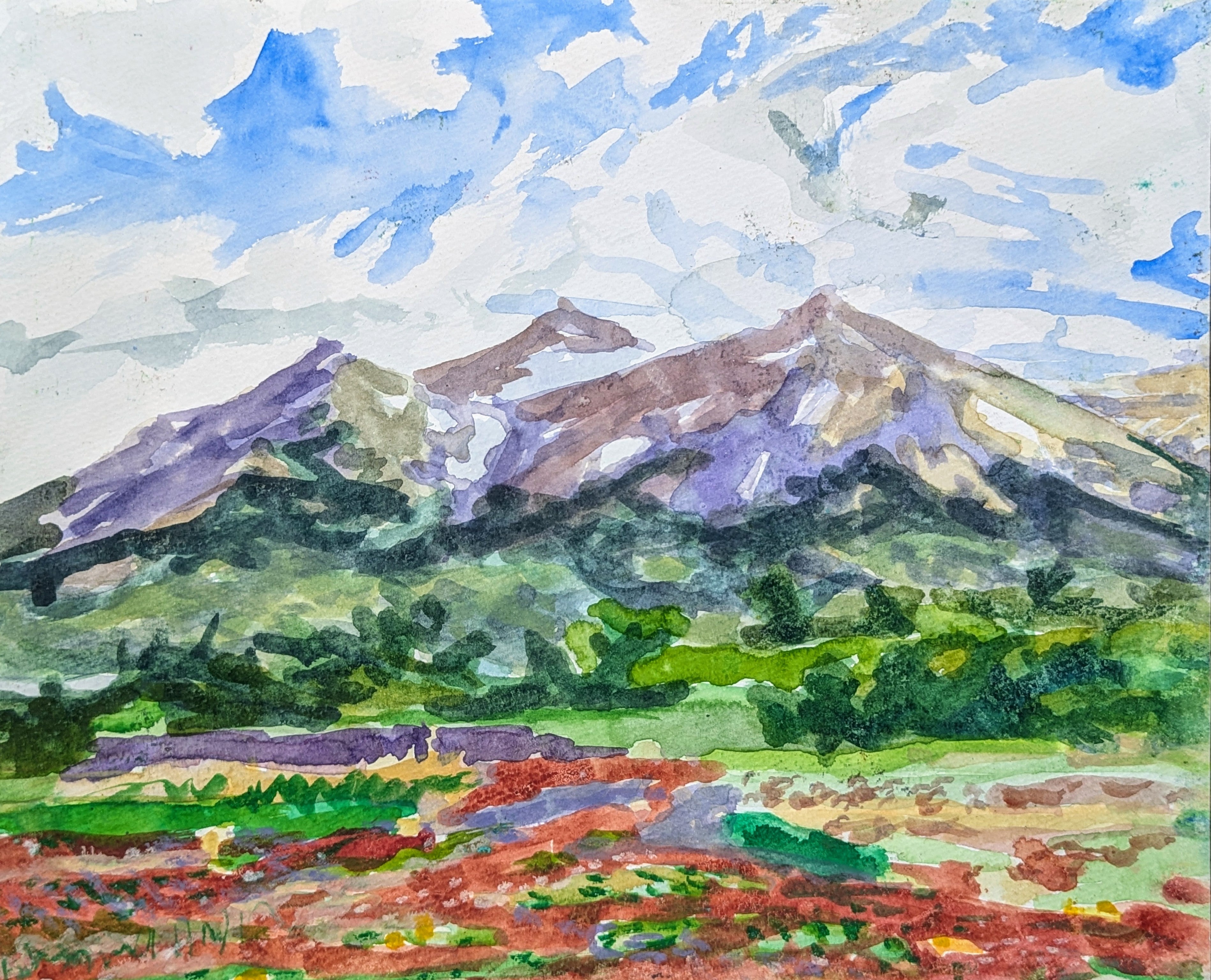 Fields in Patagonia- original watercolor painting
