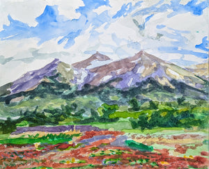 Fields in Patagonia- original watercolor painting