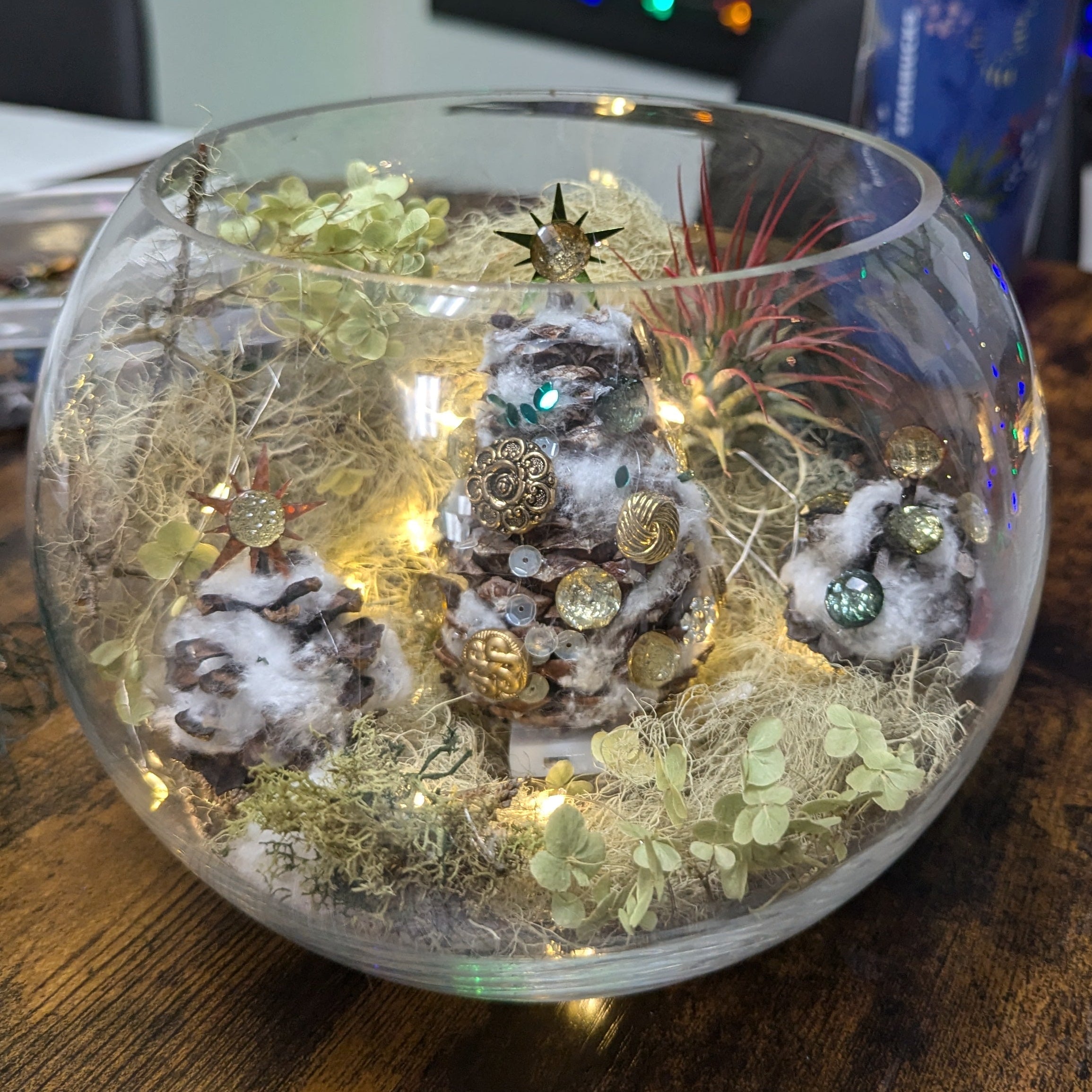 Winter Wonderland Terrariums, 12/18/25