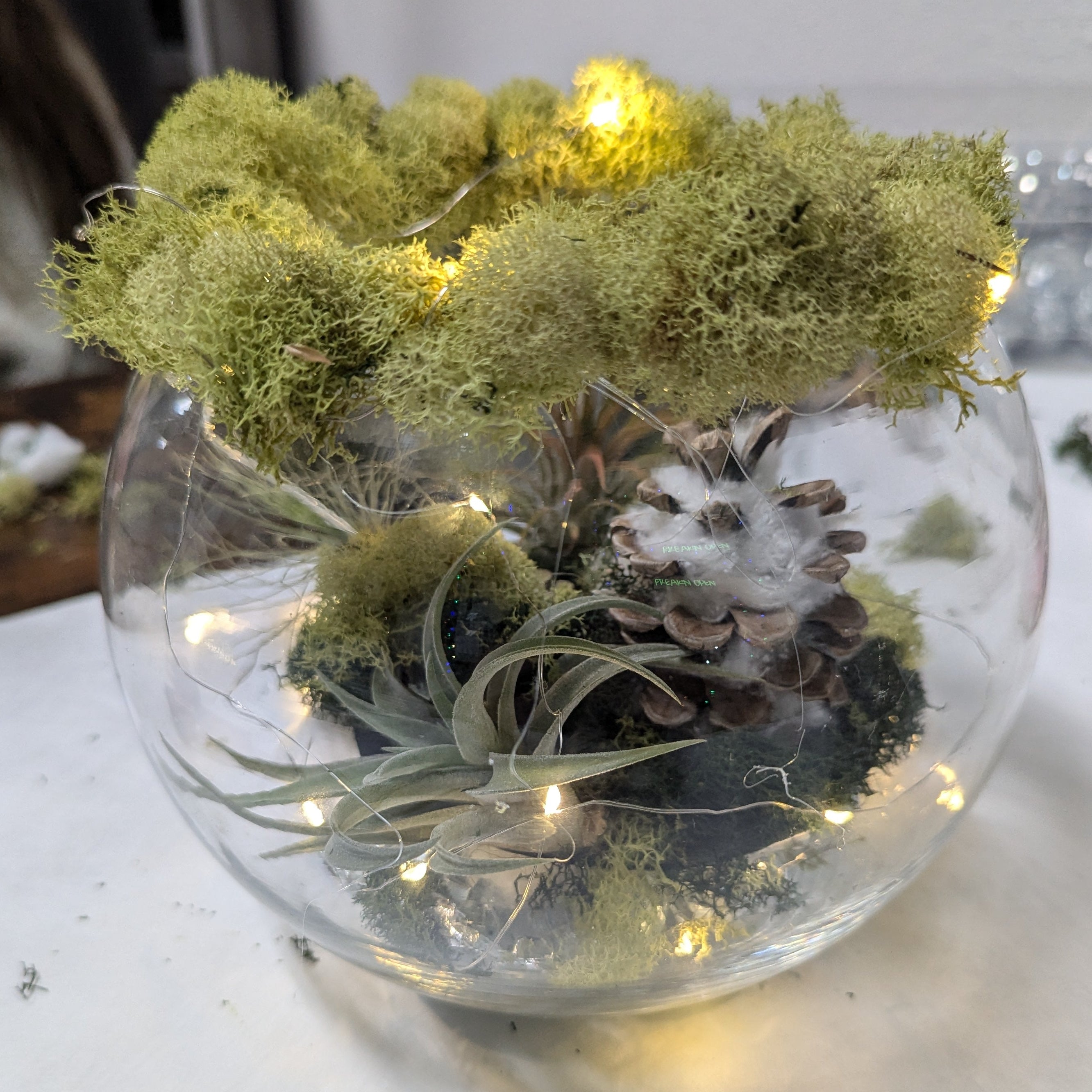 Winter Wonderland Terrariums, 12/18/25