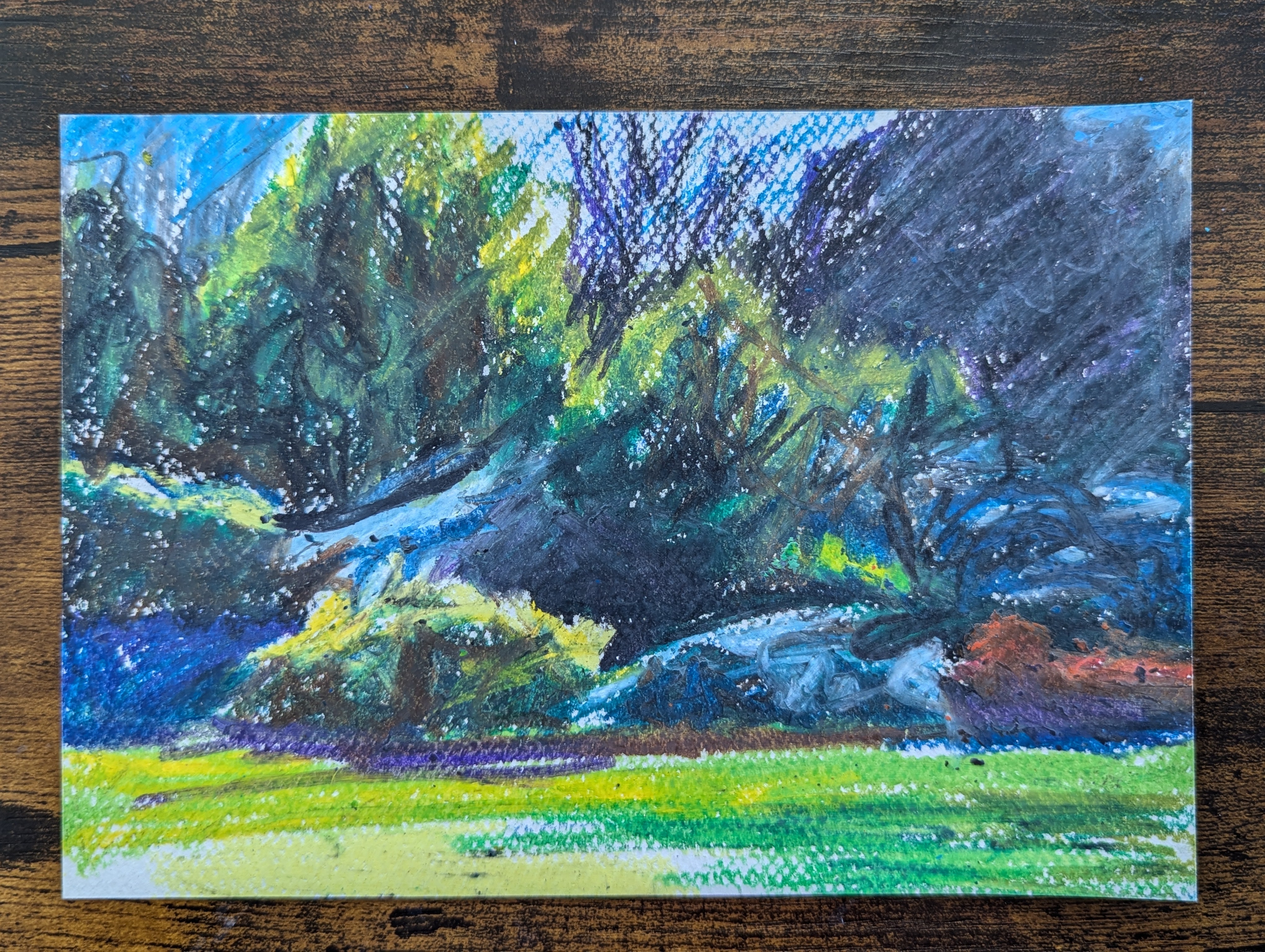 Bushes in Christchurch,  original oil pastel