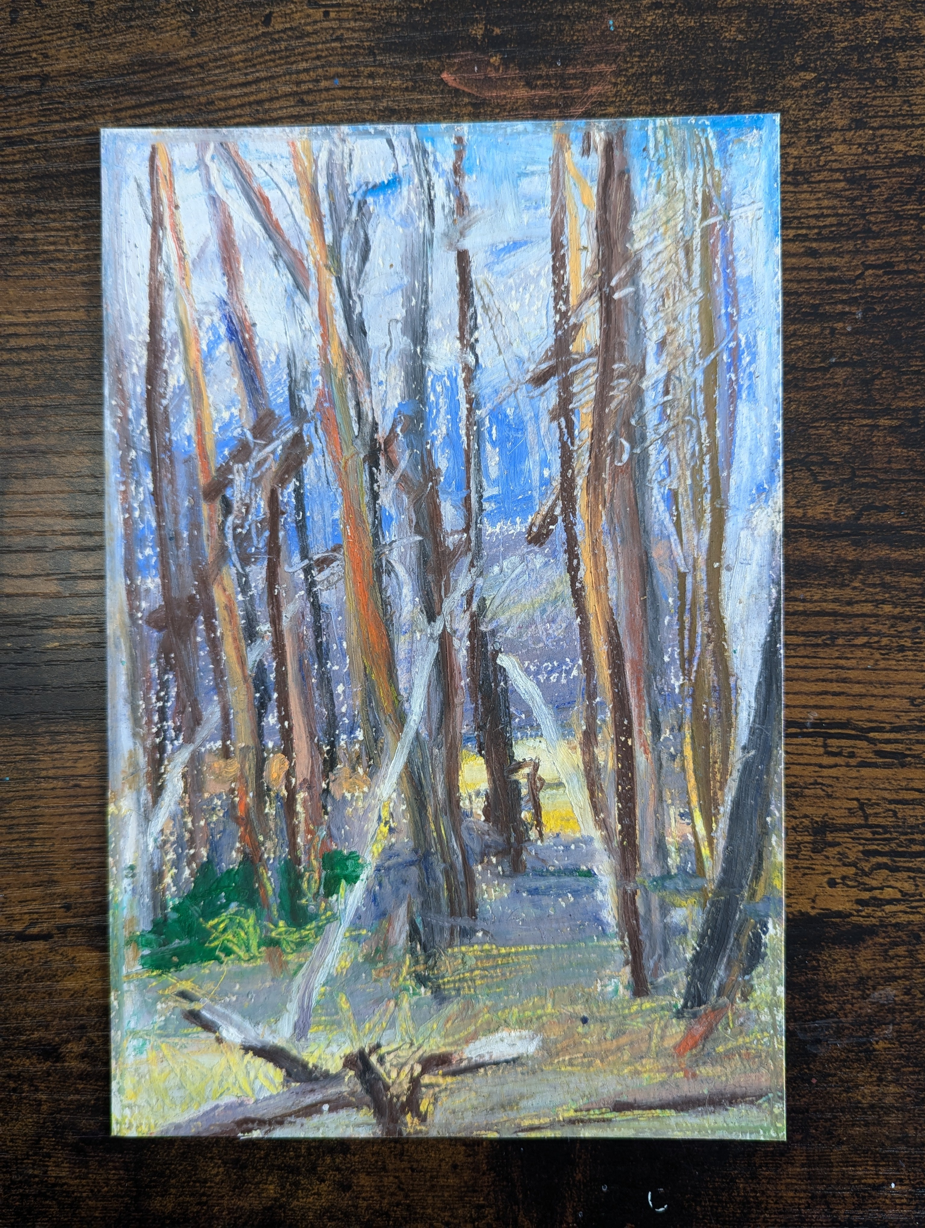 Burnt Forest,  original oil pastel