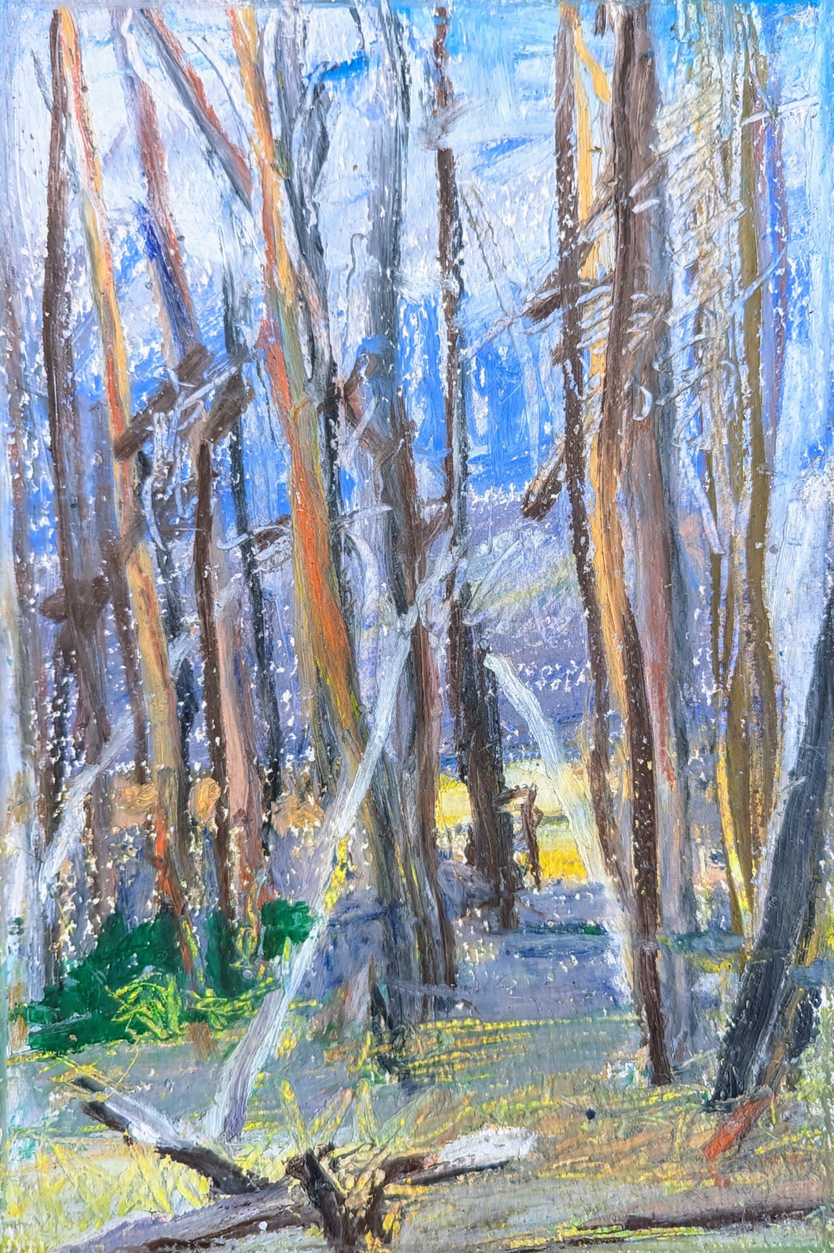 Burnt Forest,  original oil pastel