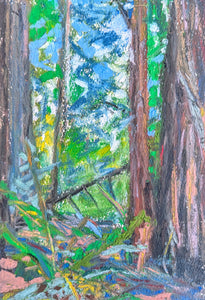 Lewis Falls Horse Camp,  original oil pastel