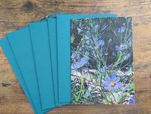 5-Pack Art Cards!