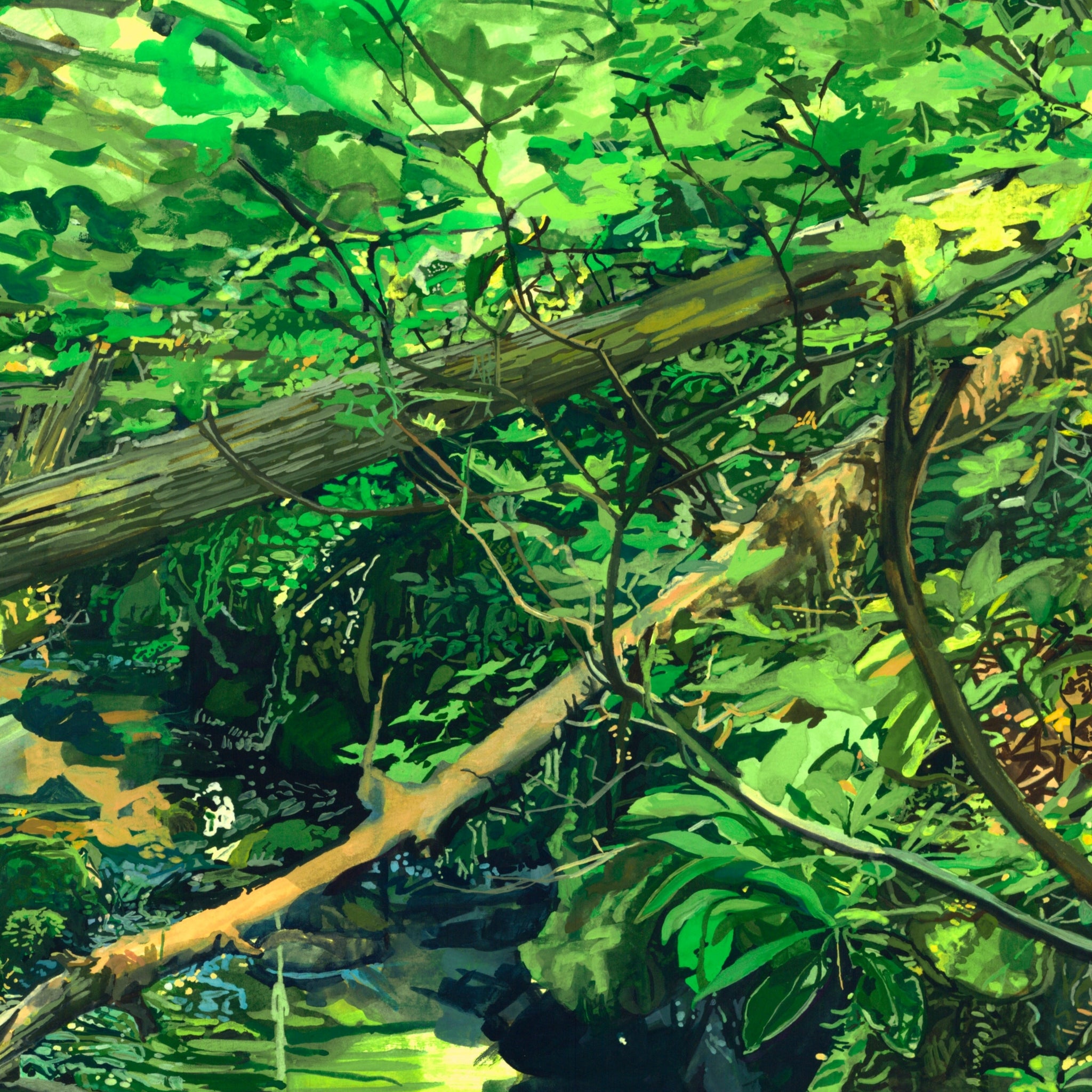 Silent Reverie: Unveiling the Verdant Depths Within, Limited Edition Giclee Print